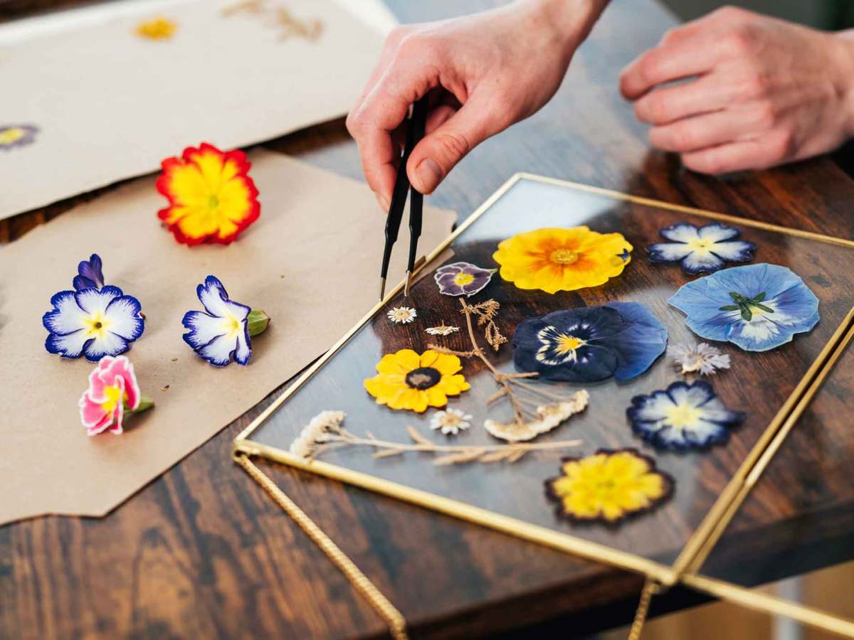 Frau presst Blumen und legt sie in einen Bilderrahmen.