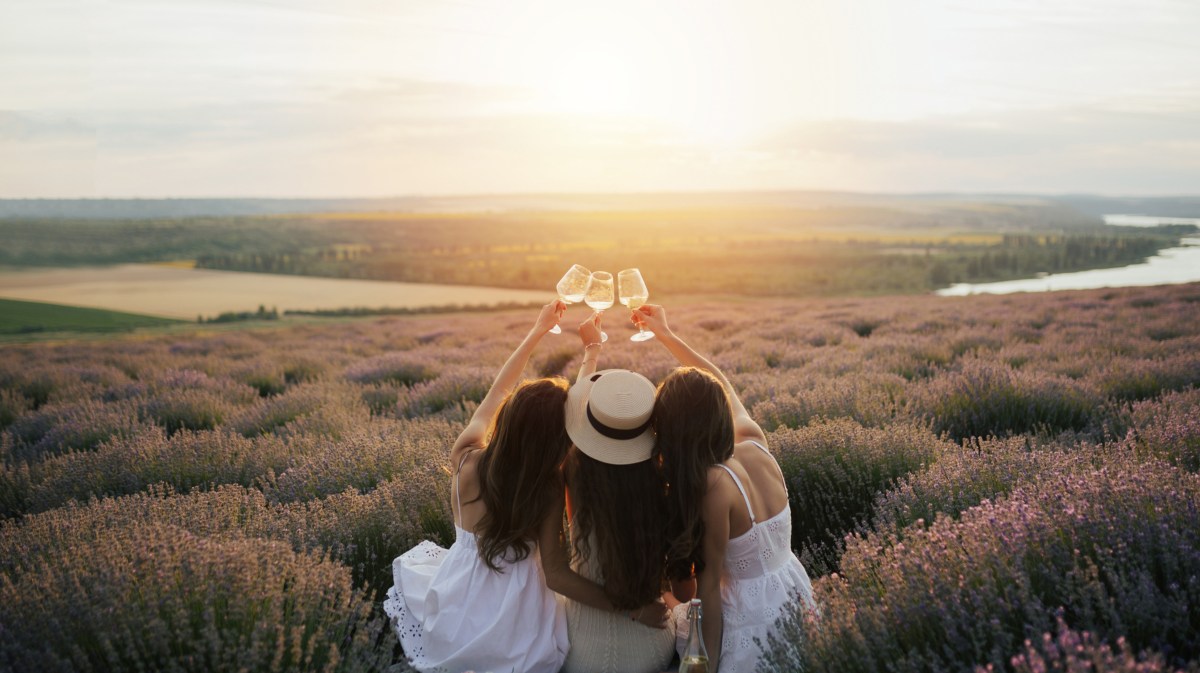 Drei Frauen mit Weinglas in der Hand in Lavendelfeld beim Sonnenuntergang