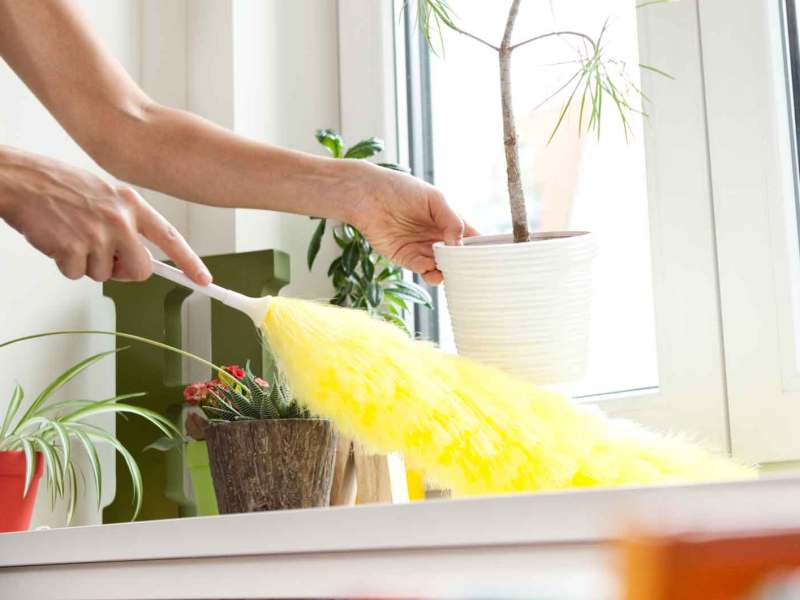 Frau wischt Staub auf einer Fensterbank.