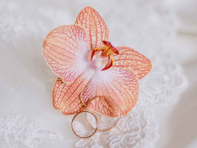 Orchidee auf einem Hochzeitskleid mit goldenen Eheringen.