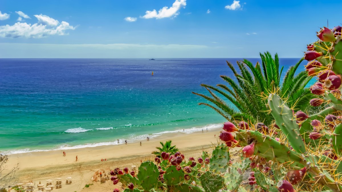 Strand auf Fuerteventura