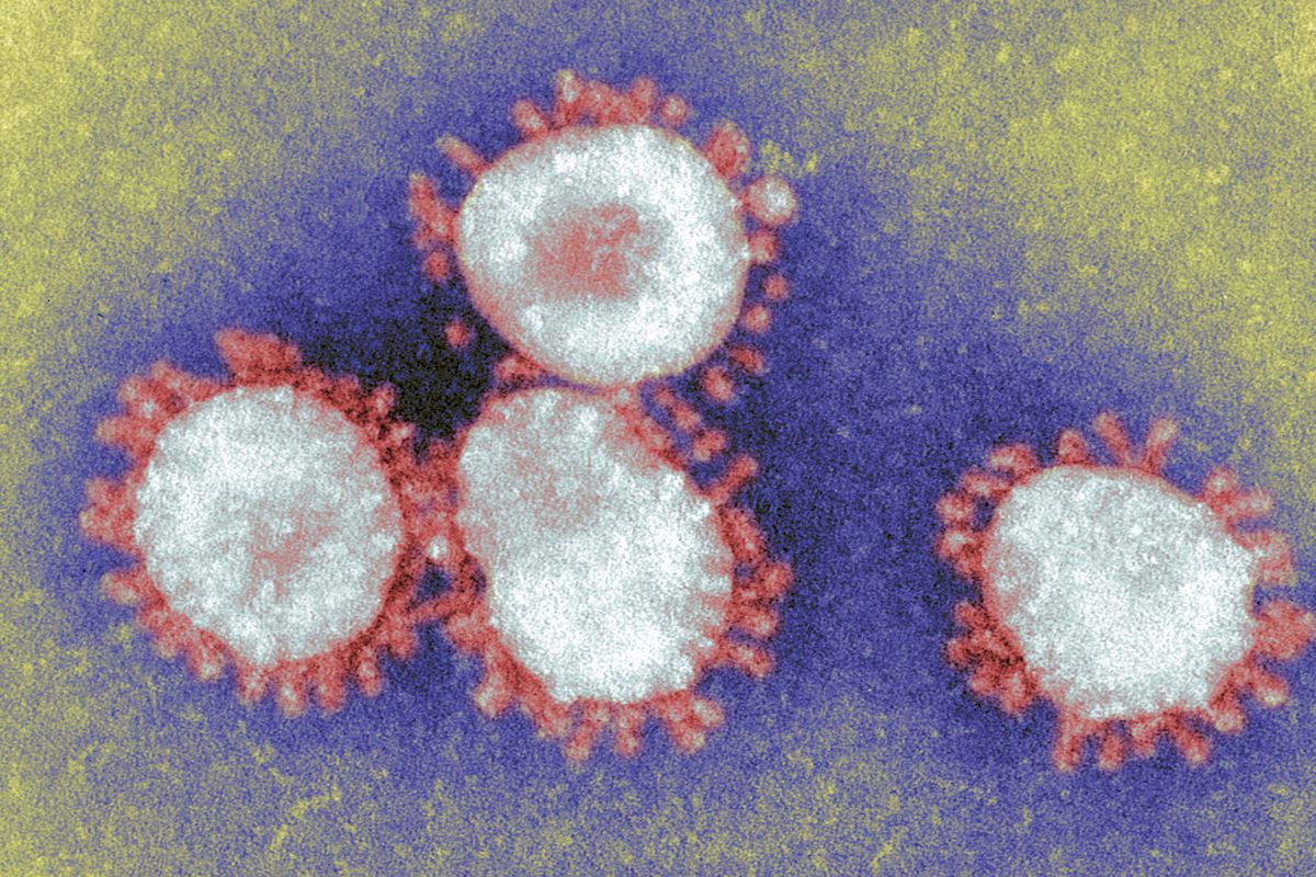 Coronavirus: Was ist das?