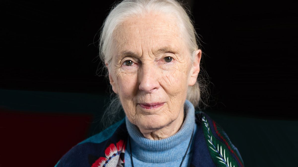 Jane Goodall