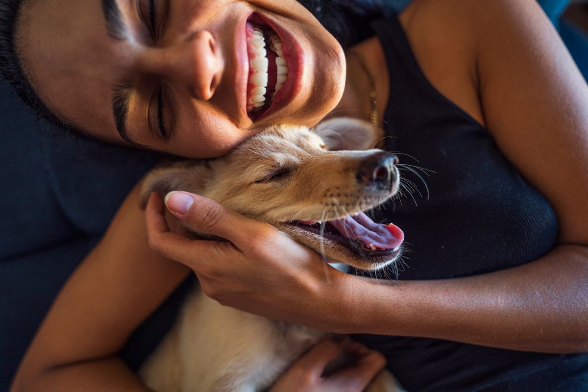 Hunde-Studie: Das sagt die Rasse über den Charakter des Besitzers aus