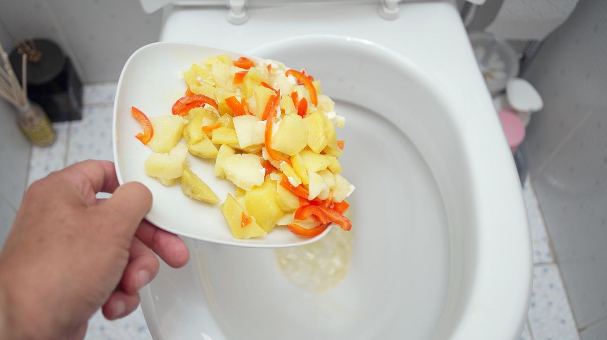 Dürfen Essensreste in die Toilette?