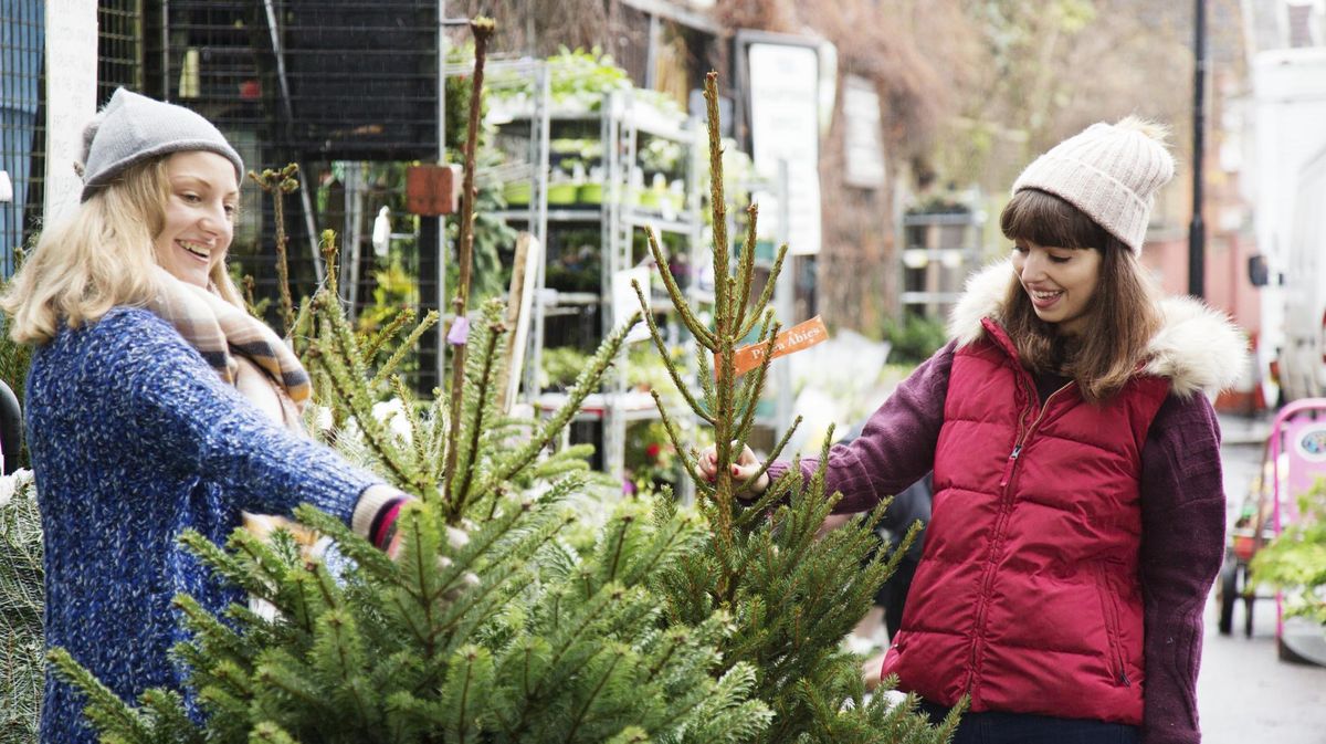 Weihnachtsbaum-kaufen-Mit-diesen-Tipps-findest-du-den-perfekten-Baum