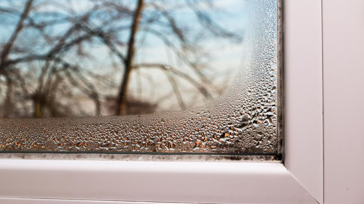 Kondenswasser am Fenster? Das hilft gegen schwitzende Fenster