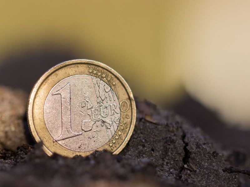 Ein Euro liegt in der Erde.