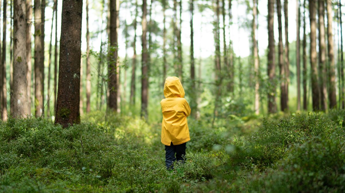 Hilfe zur Selbsthilfe: So warnst du Kinder vor Fremden