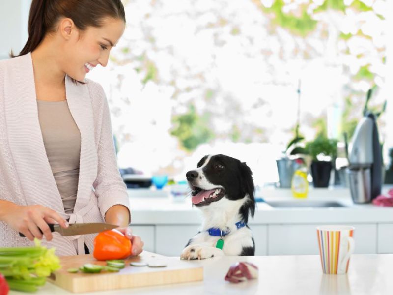 Hundehalter aufgepasst: Dürfen Hunde Paprika essen?