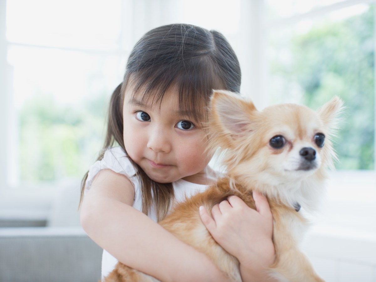 Diese Hunderassen sind die perfekten Begleiter für Familien