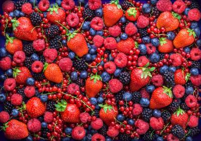 Beeren, Mischung aus Erdbeere, Heidelbeere, Himbeere, Brombeere, rote Johannisbeeren im Studio auf dunklem Hintergrund