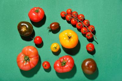 Verschiedene frische Tomaten auf grünem Hintergrund