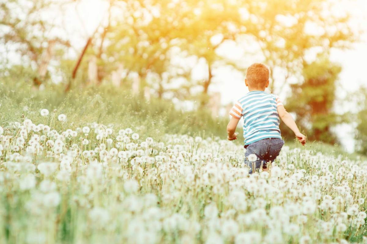 Kleiner Junge läuft über Wiese mit Pusteblumen