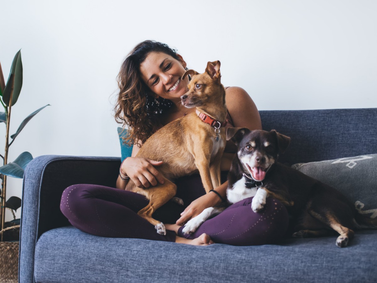 Frau mit zwei Hunden auf der Couch