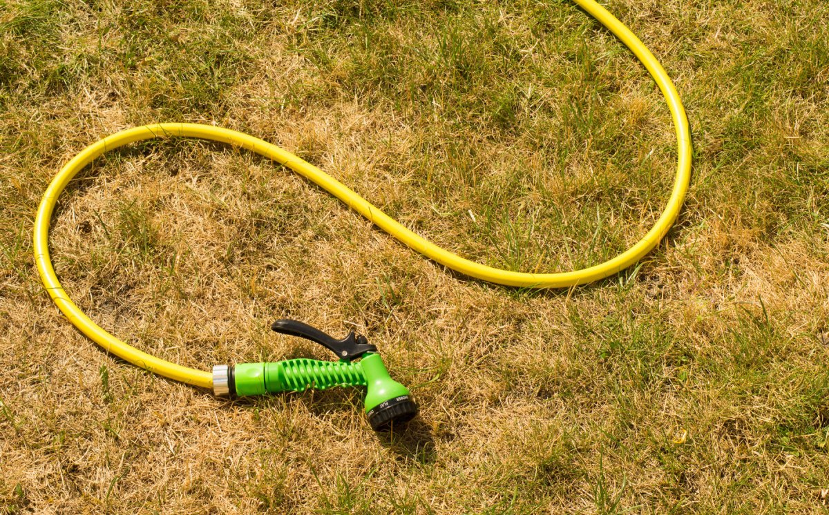 Verbrannter Rasen darauf liegt gelber Gartenschlauch mit grüner Spritzpistole