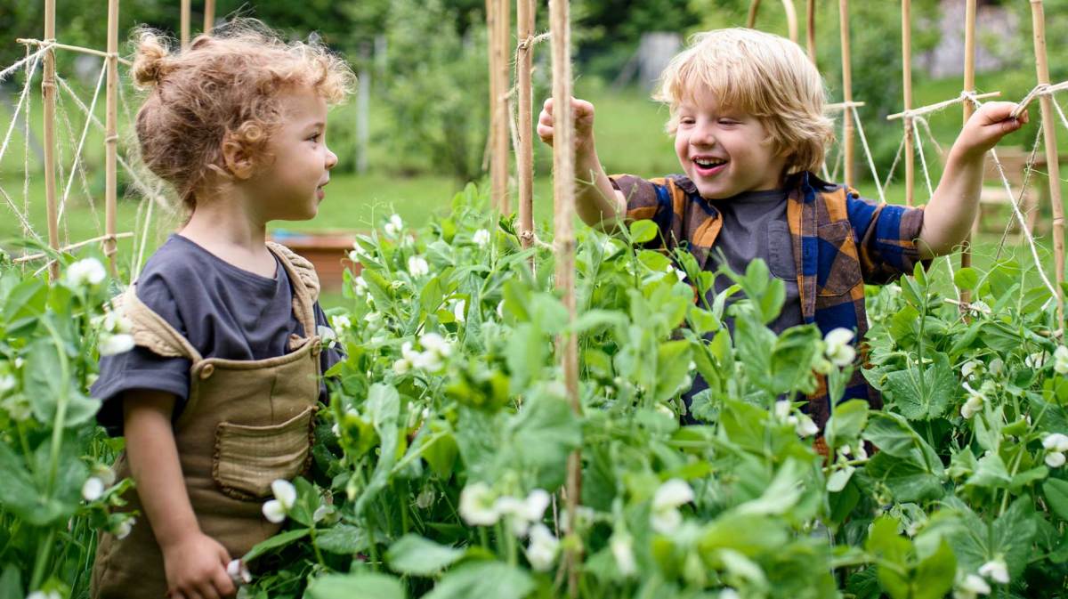 Zwei kleine Kinder stehen in einem Gemüsebeet.