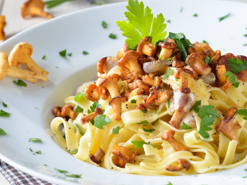 Bandnudeln mit Pfifferlingsauce auf weißem Teller.