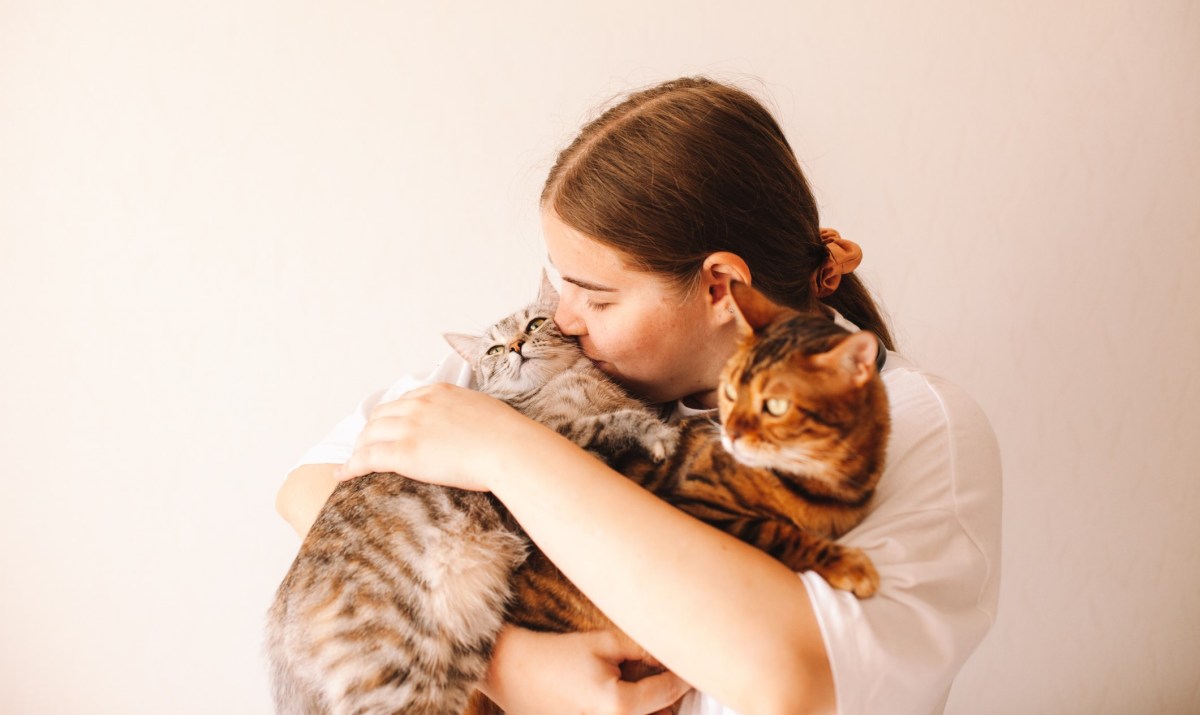 Frau kuschelt mit zwei Katzen auf ihrem Arm