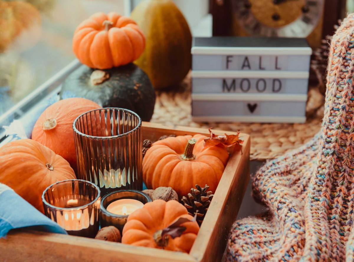 Herbst gemütliche Stimmung Zusammensetzung auf der Fensterbank. Kürbisse, Zapfen, Kerzen auf Holztablett, verschwommen Herbst Stimmung Nachricht auf Leuchtkasten, warme Plaid. Herbst, Herbst, Hygge Heimtextilien.