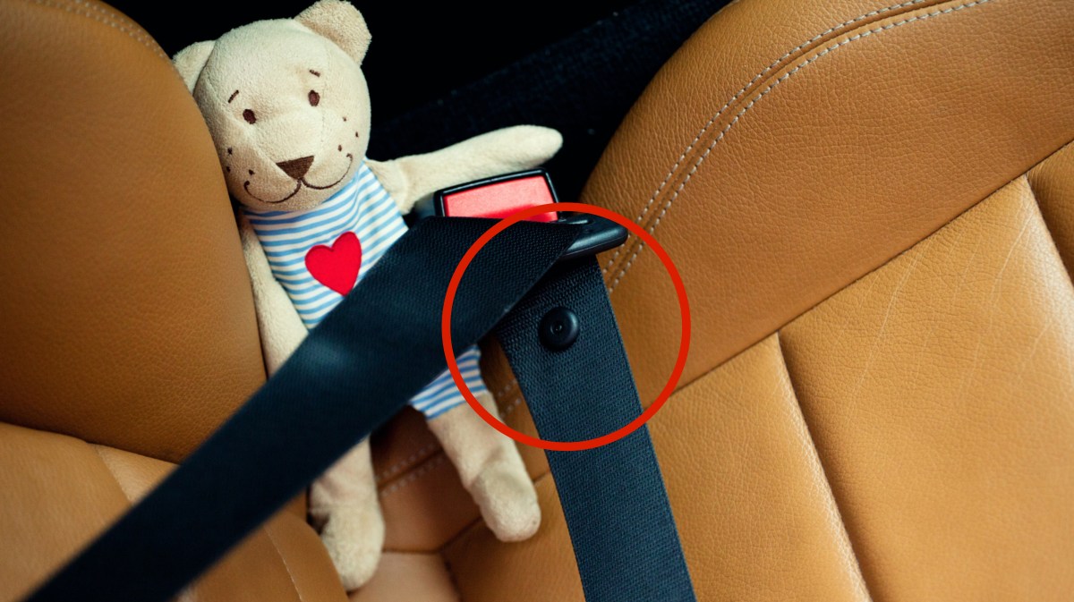 Teddybär ist im Auto mit angeschnallt.