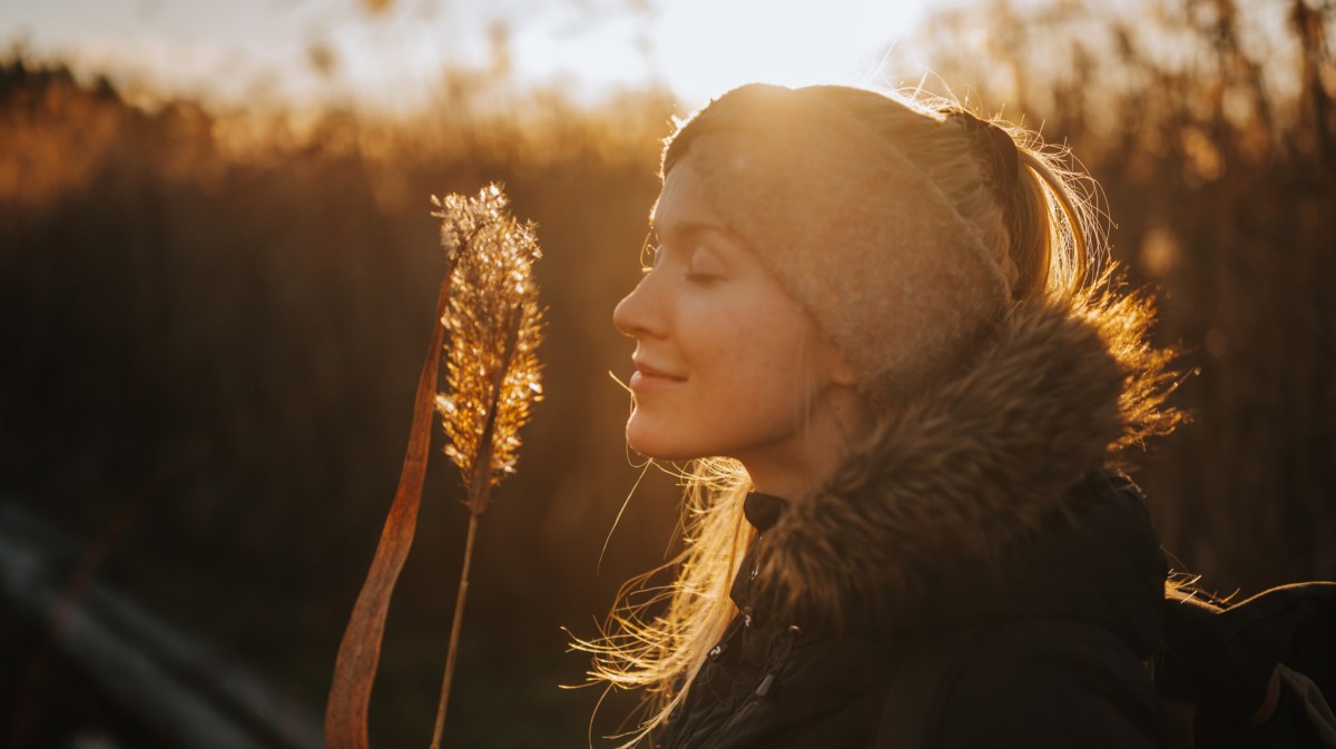 Frau in der Natur, mit Stirnband, die an einem Strauch riecht und die Augen schließt