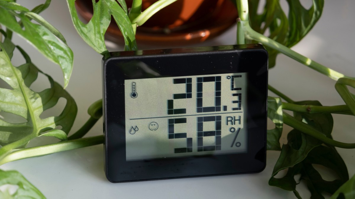 Hygrometer zwischen Pflanzen in Wohnung.