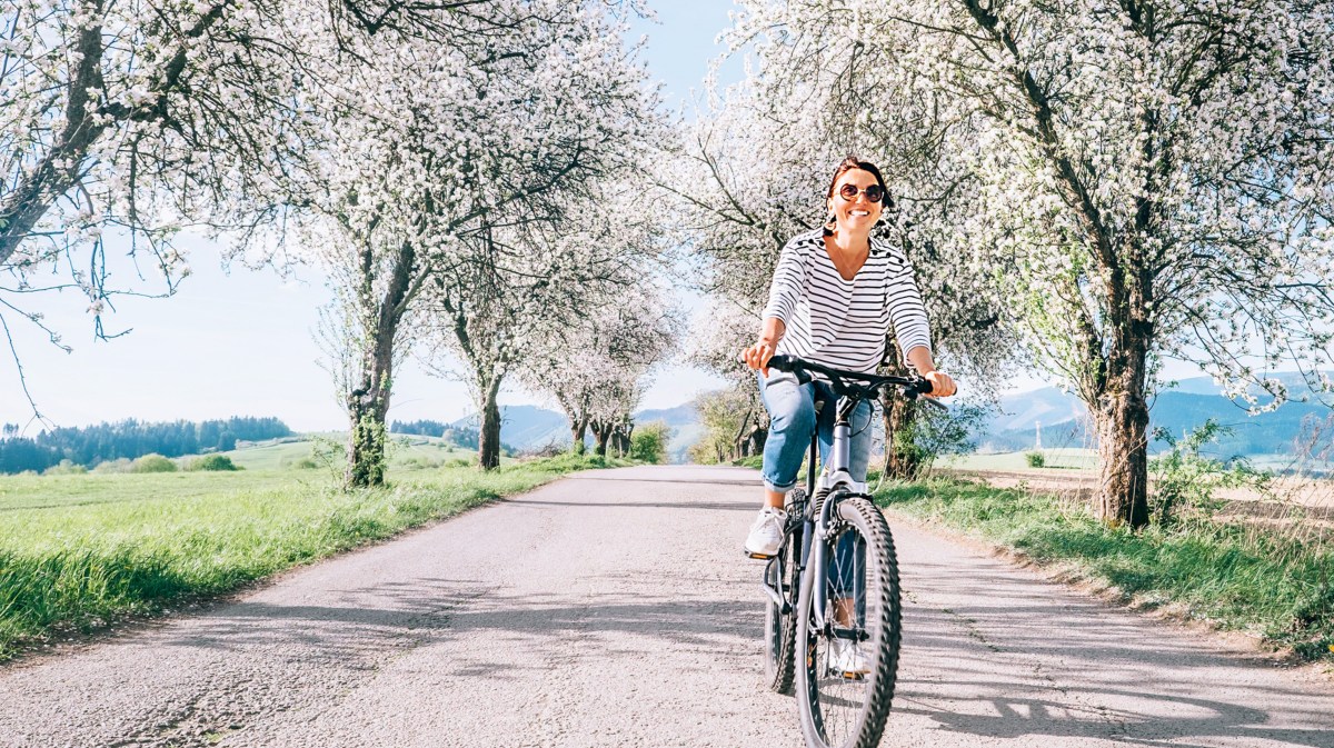 Frau auf einem Fahrrad, die eine Allee mit prachtvollen Bäumen auf einem Fahrrad herunterfährt