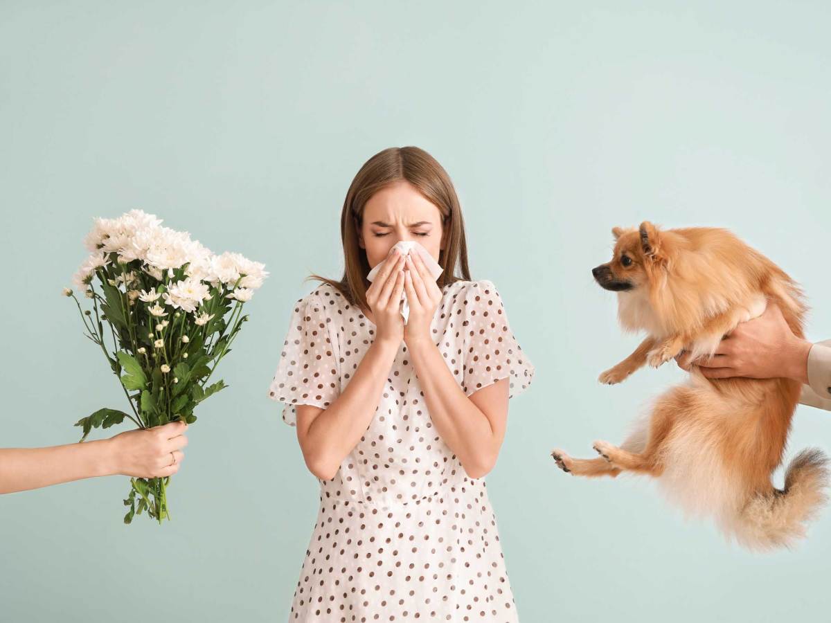 Allergische Reaktion: Junge Frau mit Taschentuch niest neben Blumenstrauß und Hund in hellem Raum.