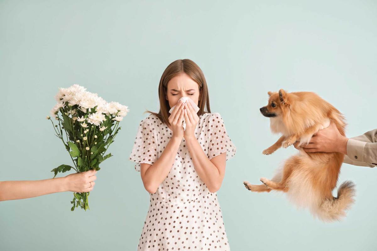 Allergische Reaktion: Junge Frau mit Taschentuch niest neben Blumenstrauß und Hund in hellem Raum.