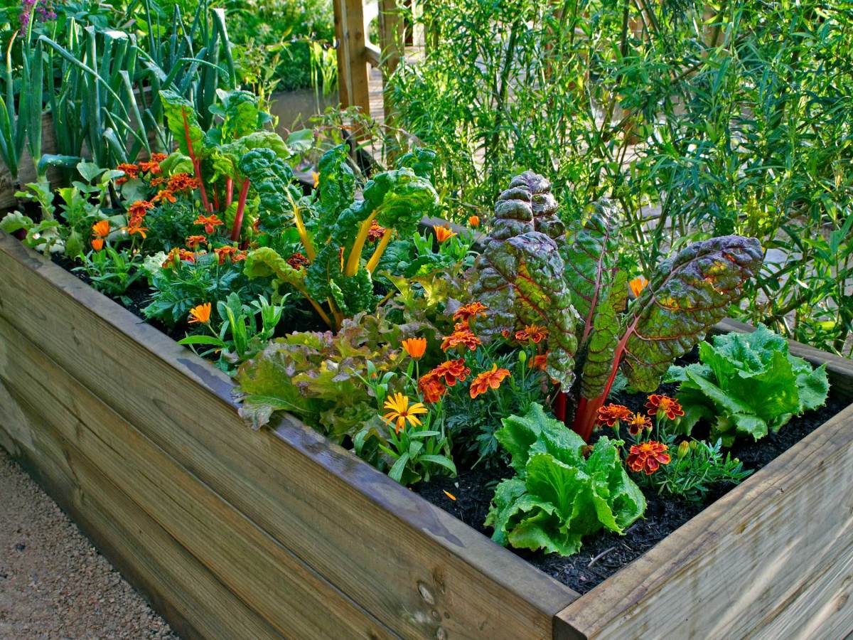 Ein Hochbeet mit Gemüse und Blumen in einem städtischen Garten