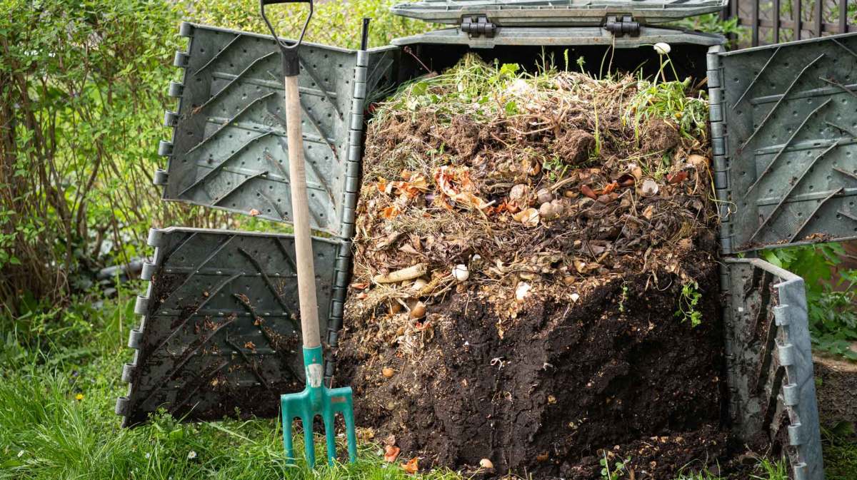 Kompost, der im Garten in einem Kompostierer liegt.