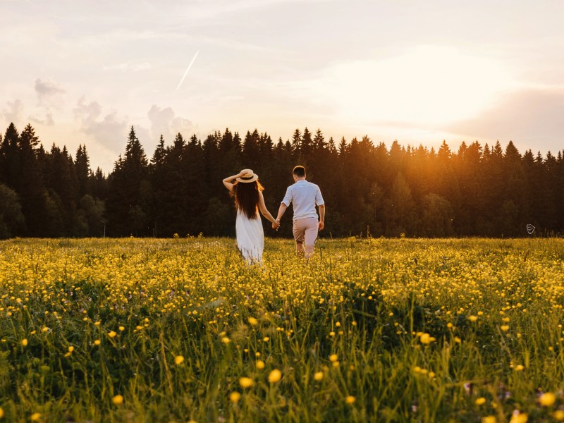 Ein Mann und eine Frau auf einem Feld beim Sonnenuntergang zwischen gelben Blumen.