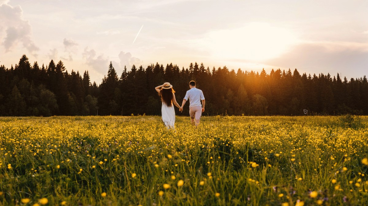 Ein Mann und eine Frau auf einem Feld beim Sonnenuntergang zwischen gelben Blumen.