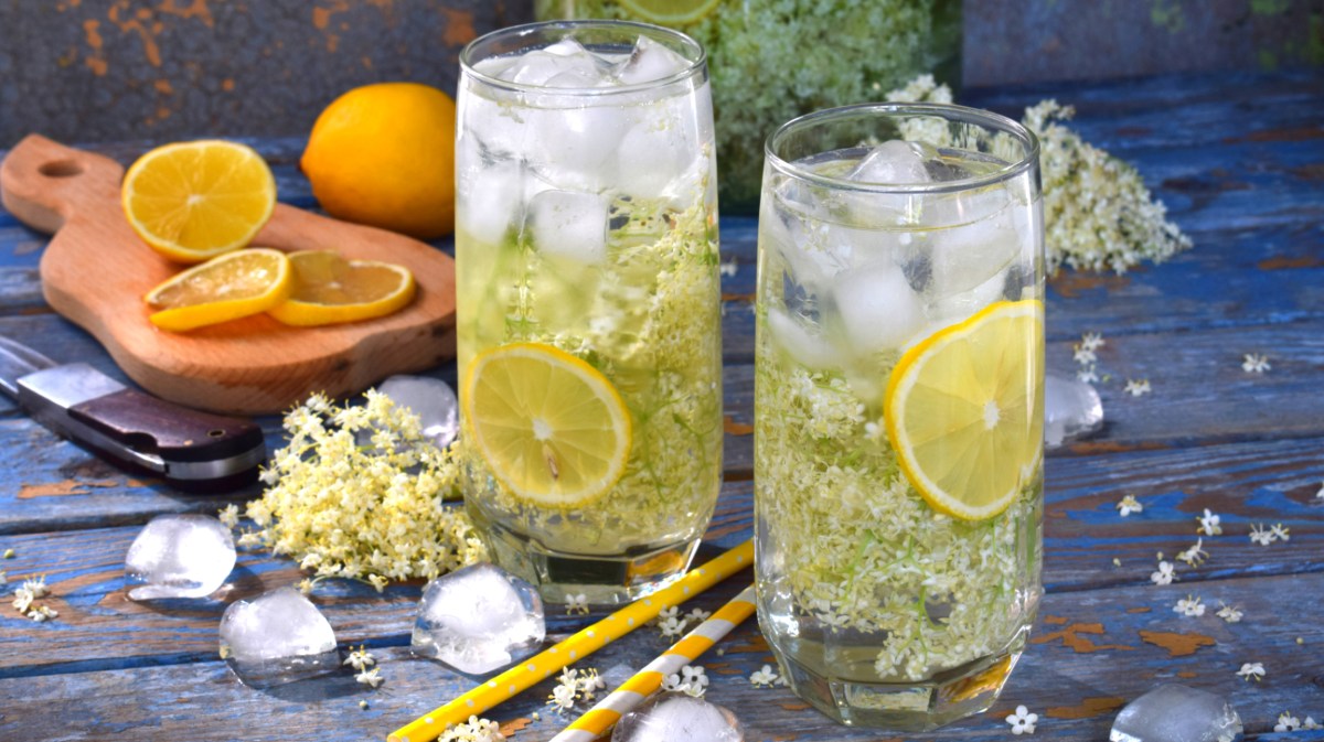 Zwei Longdrinks mit Holunder, Zitrone und Eiswürfel.