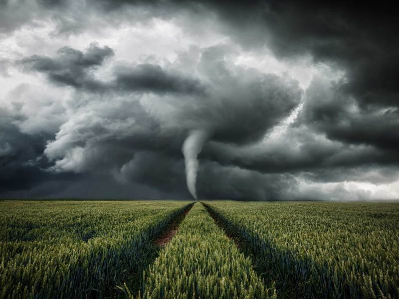 Tornado wütet über eine Landschaft - Unwetter über Getreidefeld