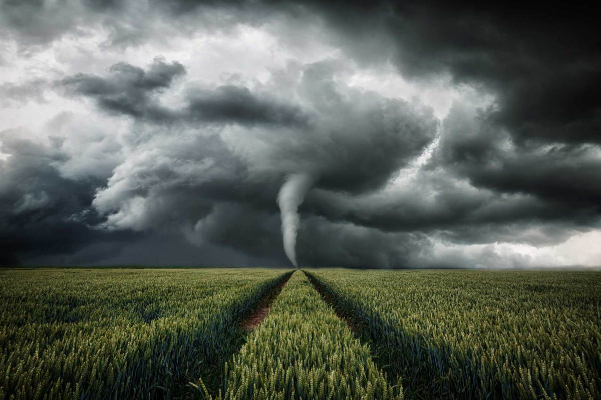 Tornado wütet über eine Landschaft - Unwetter über Getreidefeld