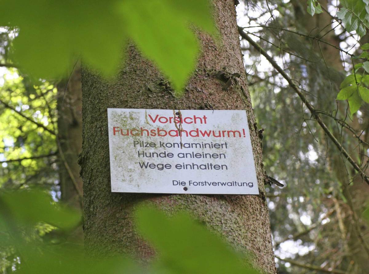 Kleiner Fuchsbandwurm (Echinococcus multilocularis), Schild am Baum warnt vor Fuchsbandwurm, Deutschland