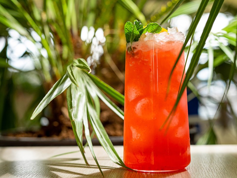 Roter Cocktail in hohem Glas steht zwischen Palmen.
