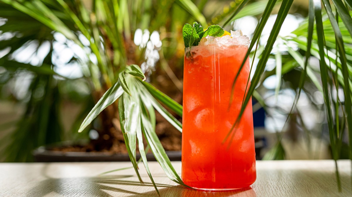 Roter Cocktail in hohem Glas steht zwischen Palmen.