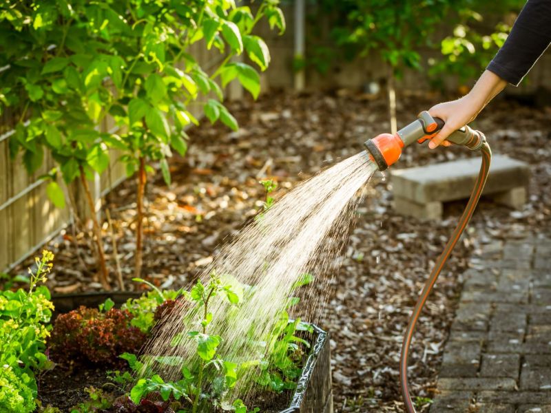 Eine Frau bewässert ihren Garten mit einem Gartenschlauch