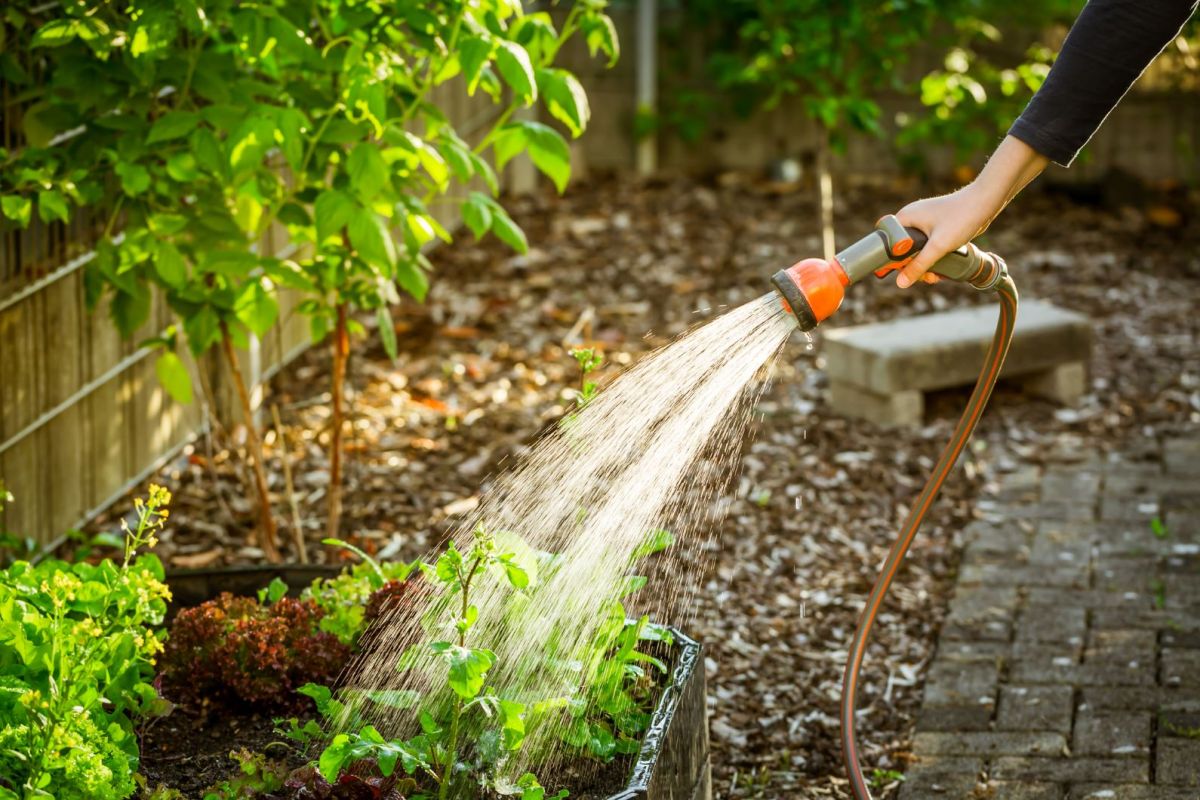 Eine Frau bewässert ihren Garten mit einem Gartenschlauch