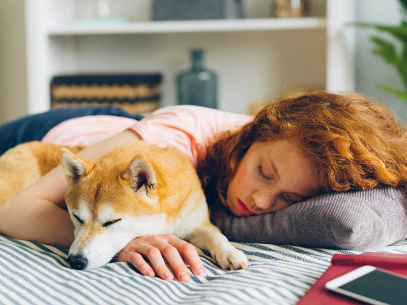 Mädchen im Teenageralter liegt mit ihrem Hund auf dem Bett und schläft.