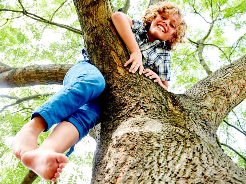 Junge ist barfuß auf einen Baum geklettert.