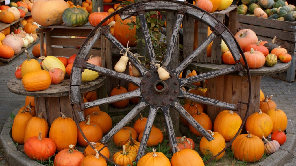 Kürbishof im Herbst besuchen