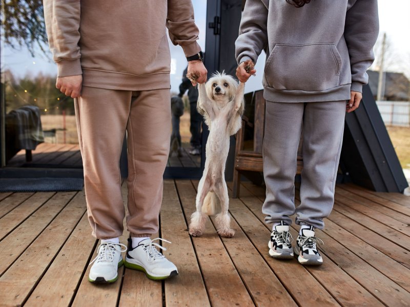 Frau und Mann, die Jogginghosen tragen.