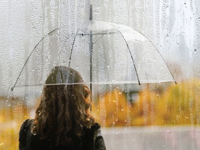 Frau mit transparentem Regenschirm in herbstlicher Natur bei Regen