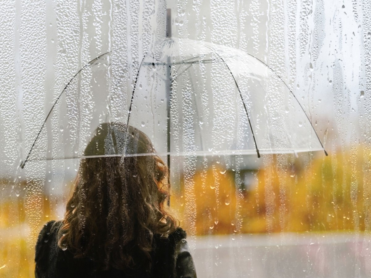 Frau mit transparentem Regenschirm in herbstlicher Natur bei Regen