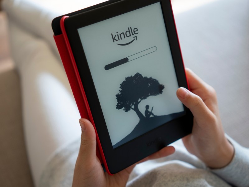 Person liest auf einem Kindle eBook-Reader.