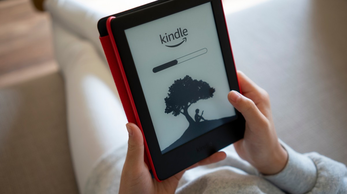 Person liest auf einem Kindle eBook-Reader.